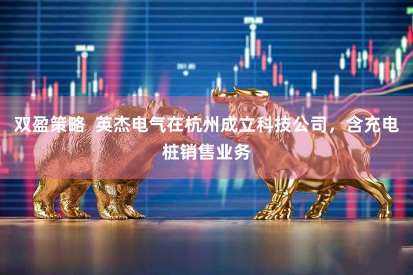 双盈策略  英杰电气在杭州成立科技公司，含充电桩销售业务