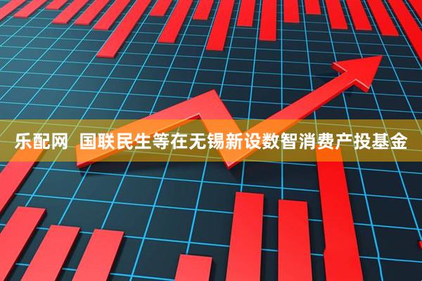 乐配网  国联民生等在无锡新设数智消费产投基金