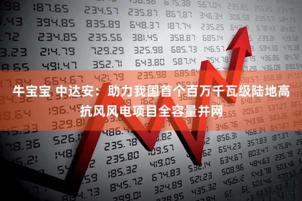 牛宝宝 中达安：助力我国首个百万千瓦级陆地高抗风风电项目全容量并网