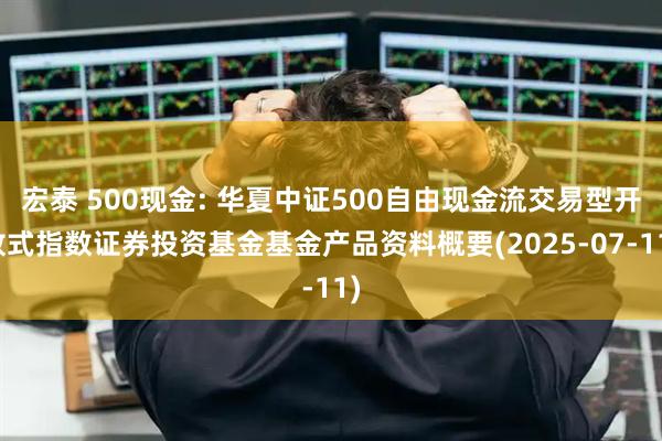宏泰 500现金: 华夏中证500自由现金流交易型开放式指数证券投资基金基金产品资料概要(2025-07-11)