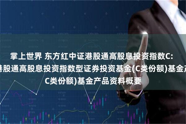 掌上世界 东方红中证港股通高股息投资指数C: 东方红中证港股通高股息投资指数型证券投资基金(C类份额)基金产品资料概要