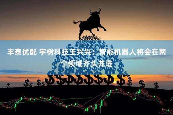 丰泰优配 宇树科技王兴兴：智能机器人将会在两个领域齐头并进