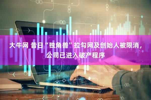 大牛网 昔日“独角兽”拉勾网及创始人被限消，公司已进入破产程序